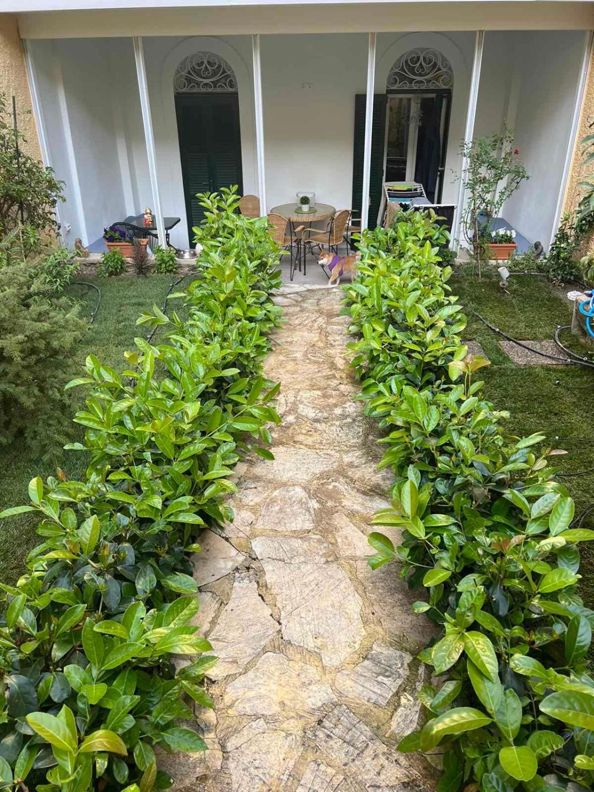 Τhe Hidden Garden Apartment Corfu  Exterior photo